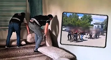 Urfa'da sahte kamu kimliği kullanmışlar! Yakalandılar