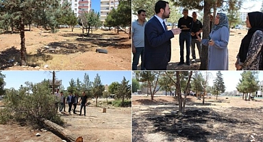 Ceylanpınar’da Yeşil Alan Tahribatına Mahalle Sakinlerinden Tepki