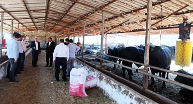 Daha ölümcül ve tehlikeli! Hayvancılar için kritik açıklama!