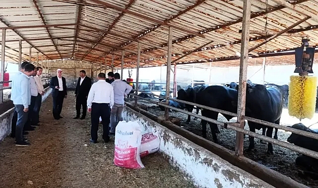 Daha ölümcül ve tehlikeli! Hayvancılar için kritik açıklama!