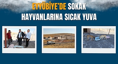 Eyyübiye’de Hayvan Bakımevi Hizmete Giriyor