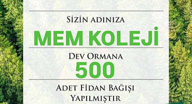 MEM Koleji'nden Örnek Davranış: Daha Yeşil Bir Şanlıurfa İçin 500 Fidan Bağışı