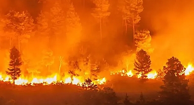 Orman yangınlarıyla ilgili kaç kişi gözaltına alındı? Bakan Yerlikaya’dan açıklama geldi!