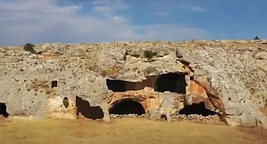Şanlıurfa Barosu'ndan Doğa Katliamına Tepki: “Büyükalanlı’da Hukuk ve Çevre İhlali Var”