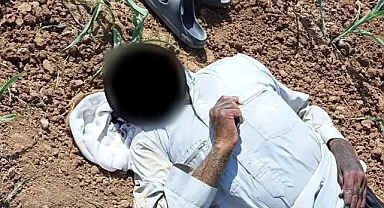 Şanlıurfa’da şüpheli ölüm! Mısır tarlasında bulundu!