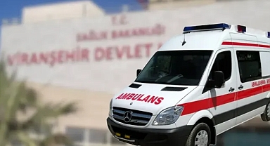 Şanlıurfa'da yılan ısırdı!