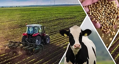 Şanlıurfa'daki çiftçiler dikkat! Paralar yatırılıyor!