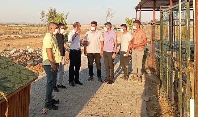 Suruç köpek katliamıyla gündeme gelmişti! Şenyaşar barınağı yerinde inceledi!