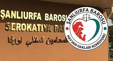 Suruç’ta köpek ölümleriyle ilgili Şanlıurfa Barosu’ndan da açıklama geldi!