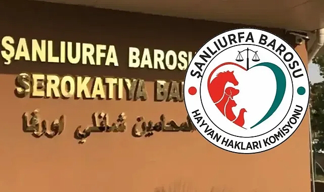 Suruç’ta köpek ölümleriyle ilgili Şanlıurfa Barosu’ndan da açıklama geldi!