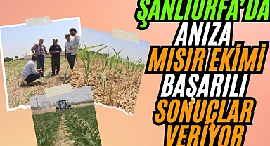 Toprak İşlemesiz Tarım Uygulamaları Çiftçiye Model Oluyor