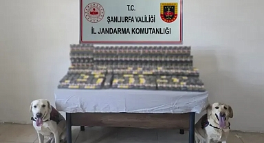 Urfa’da binlerce paket ele geçirildi!