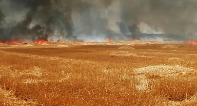 Urfa'da bu uyarıya dikkat!