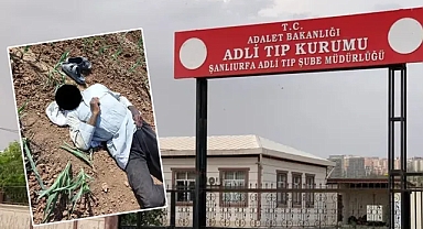 Urfa’da cesedi mısır tarlasında bulunmuştu! Kimliği belli oldu!