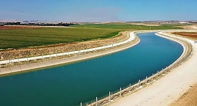 Urfa'da otomobil sulama kanalına devrildi! Yaralılar var