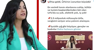 Yatırım Yok, Hizmet Yok, Söz Var! Urfa’nın Çığlığı Meclis’e Taşındı