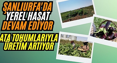 Büyükşehir, Ata Tohumlarıyla Yerel Üretimi Güçlendiriyor