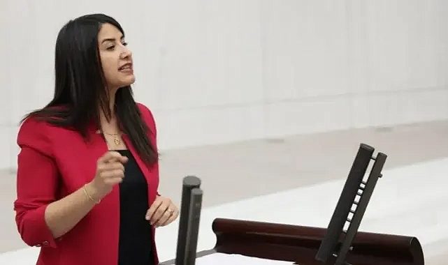 DEM Parti Urfa Milletvekili’nden Geri Gönderme Merkezleri için Meclis Araştırma Önergesi