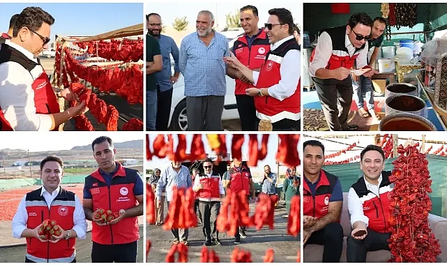 Haliliye’de Urfa İsotu üretim alanı denetlendi
