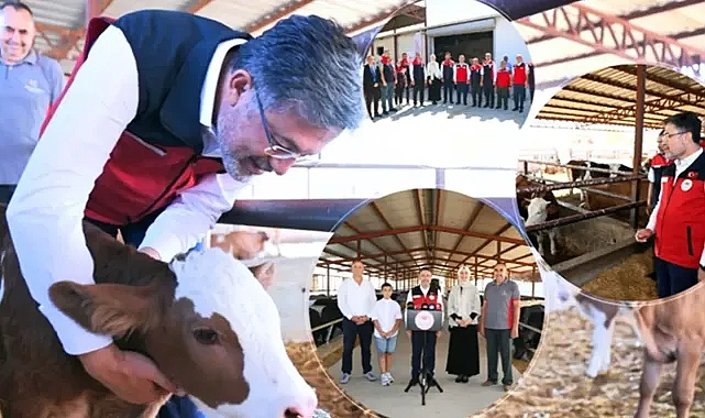 Hayvancılıkla ilgili yeni proje!