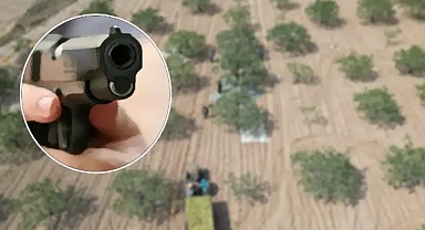 Komşuda fıstık kavgası! 1’i ağır 2 yaralı!