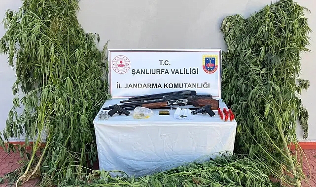 Şanlıurfa’da 6 adrese baskın! Çok miktarda uyuşturucu madde ele geçirildi!