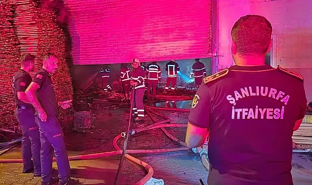 Şanlıurfa’da mobilyacılar sitesinde yangın! İtfaiye seferber oldu!