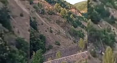 Şanlıurfa’dan Ordu’ya giden fındık işçileri uçuruma yuvarlandı! 3 ölü, 18 yaralı!