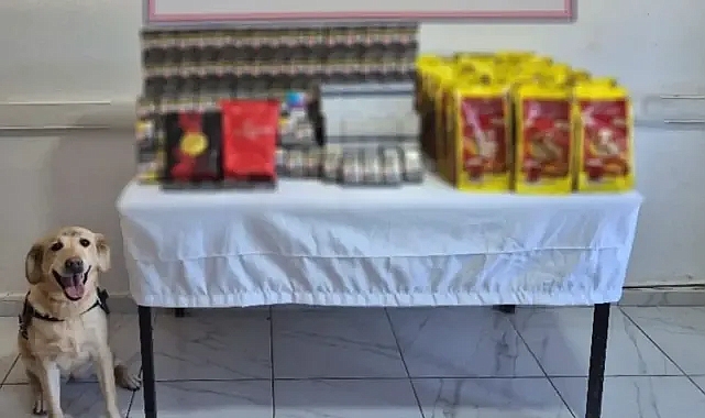 Urfa’da 'şok' kaçakçılık operasyonu!