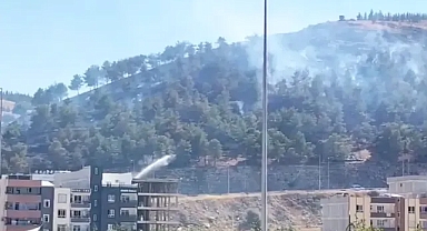 Urfa’da zaten az olan ağaçlık alanlar da yanıyor!