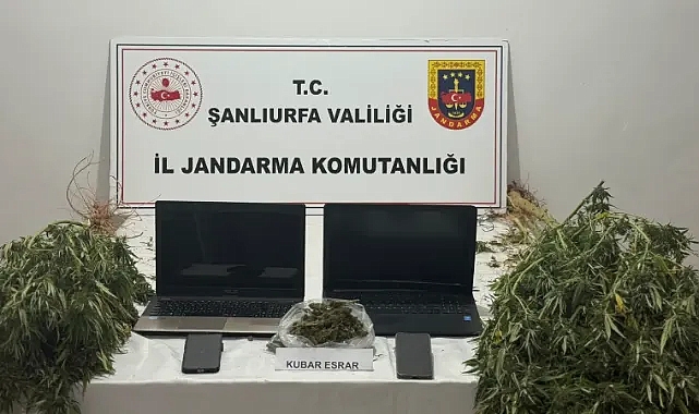 Akçakale’de ev ve eklentiye baskın! Uyuşturucu ele geçirildi!