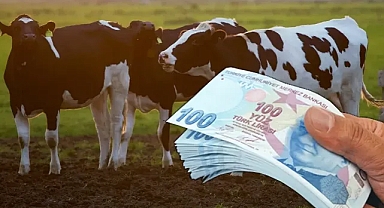 Hayvancılıkla ilgili destek miktarları artıyor!