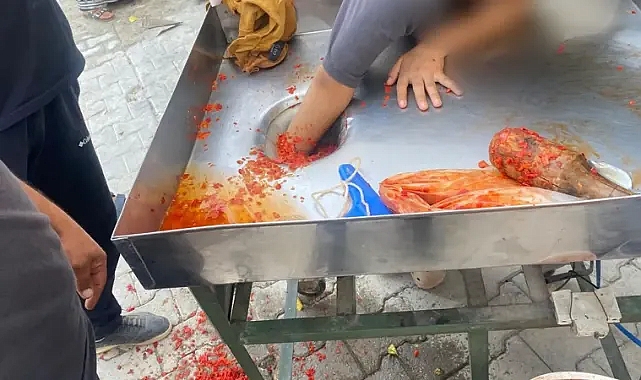 Şanlıurfa’da genç kız elini salça makinesine kaptırdı!