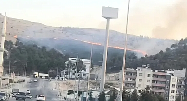 Urfa'da yangın!