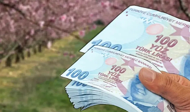 707 milyon ödeme yapıldı!