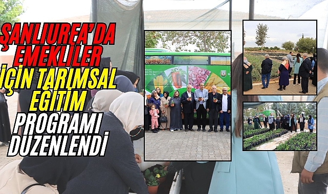 Büyükşehir, Emeklilere Hem Eğitim Verdi Hem Moral Sağladı