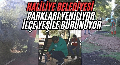 Haliliye’de Yeşil Dönüşüm: Parklar Yenileniyor, İlçe Güzelleşiyor