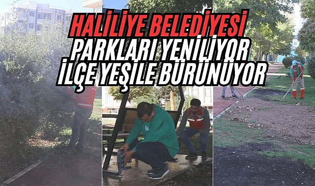 Haliliye’de Yeşil Dönüşüm: Parklar Yenileniyor, İlçe Güzelleşiyor