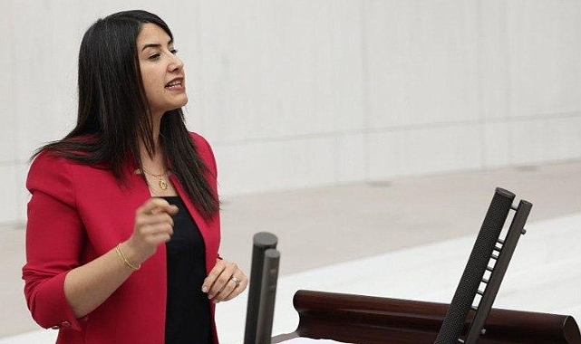 Kamu Emekçileri ve KHK Mağdurları Sorunlarını TBMM’ye Taşıdı