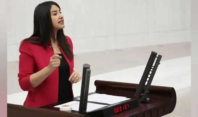 Milletvekili Dilan Kunt Ayan’dan Harran’daki Şiddet Olayına Sert Tepki! Takipçisi Olacağız