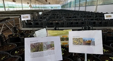 Şanlıurfa Büyükşehir Belediyesi’nden ‘Kurakçıl Peyzaj Tasarımı’na destek