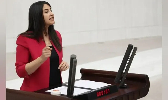 Siverek’te Artan Genç İntiharları TBMM Gündeminde