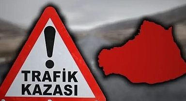 Urfa'da otomobil kontrolden çıktı! Yaralı var