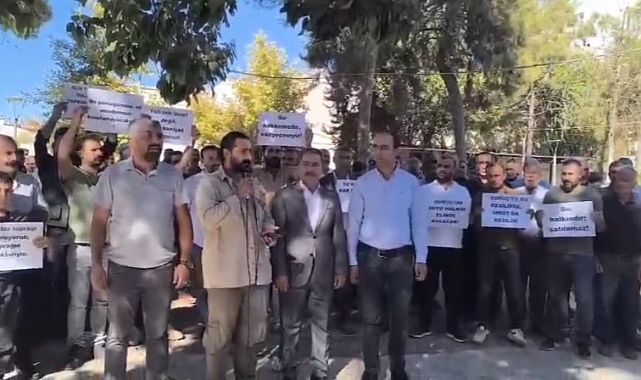 Ziraat Mühendisleri ve Çiftçilerden Ortak Çağrı: Pamuk Fiyatı Yeniden Belirlensin