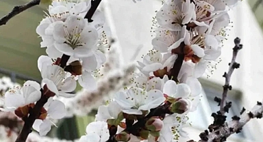 Açıklandı: Paralar yatırılıyor!