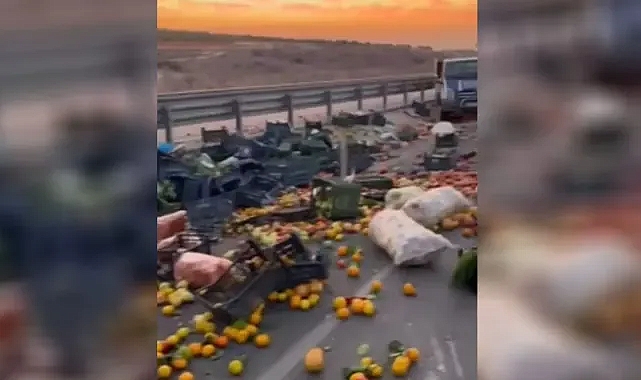 Birecik’e sebze-meyve getiren kamyonet devrildi!