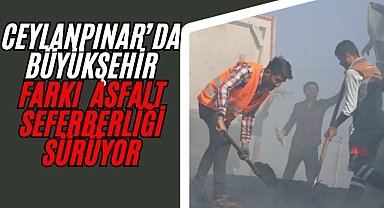 Ceylanpınar’da Büyükşehir Farkı: Asfalt Atağı Devam Ediyor