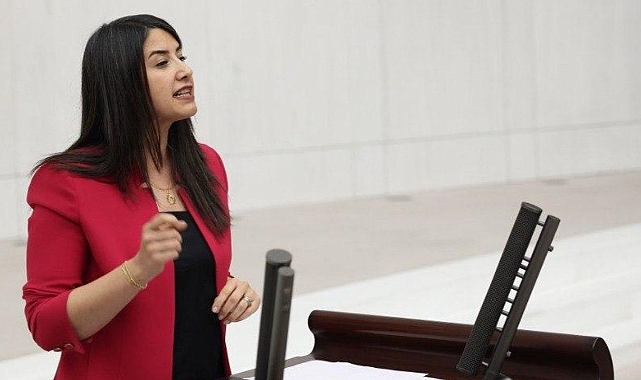 DEM Partili Ayan’dan Bozova’daki Çocuk İşçi Ölümü İçin Soru Önergesi