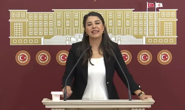 DEM Partili Ayan: “Urfa’da uyuşturucuya ulaşmak, ciğere ulaşmaktan daha kolay!”