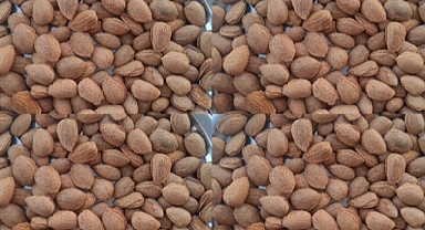 Şanlıurfa Çiftçisine 'İsrail Bademi' Darbesi